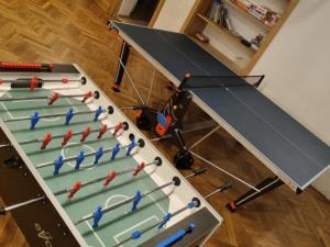 una gran mesa de ping pong con raqueta de ping pong en Anna en Miłków