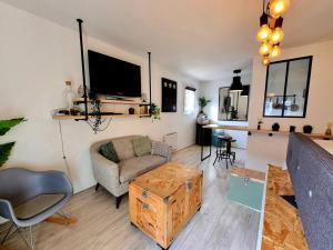 ein Wohnzimmer mit einem Sofa und einem TV in der Unterkunft Studio Cosy Atypique - Toulouse in Toulouse