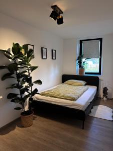 a bedroom with a bed and a potted plant at Urban Studio in Buttelstedt