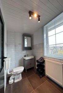 a bathroom with a toilet and a sink at Urban Studio in Buttelstedt
