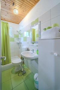 a bathroom with a sink and a toilet at Robinson Eda in Murvica