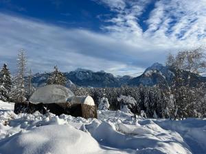 Cabaña cubierta de nieve con montañas al fondo en Bubble Tent Füssen im Allgäu, en Füssen
