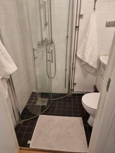 een badkamer met een douche en een toilet bij Stockholm City Chic-1-Bedroom Loft for 3 - 914 in Stockholm