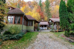 Zahrada ubytování Esigman - log cabin in Transylvania