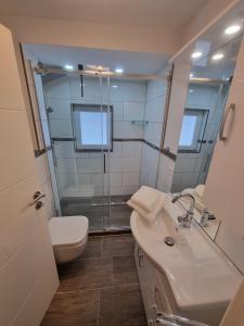 uma casa de banho com um lavatório, um WC e um chuveiro em Haus Ilse Wohnung 8 em Sankt Andreasberg