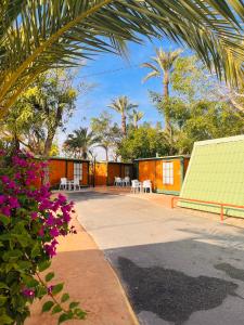 eine Terrasse mit Tischen und Blumen sowie ein Gebäude in der Unterkunft Camping Las Palmeras in Crevillente