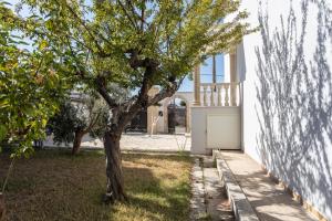een boom in een tuin naast een wit gebouw bij Villetta Chiara per gruppi - Apulia Home in Ugento