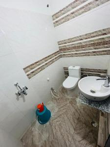 a bathroom with a toilet and a sink at Hotel Maurya Vihar Bodhgaya in Bodh Gaya