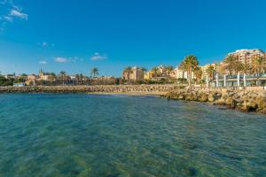 uma vista para uma praia com palmeiras e edifícios em Centric em Palma de Maiorca