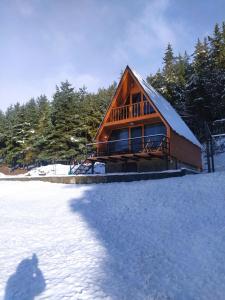 Sno Woodland v zimě