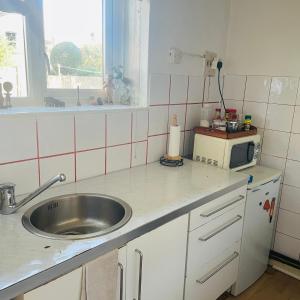 a kitchen with a sink and a microwave at Little Temple in Ladywell in London