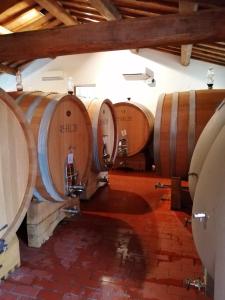 Imagem da galeria de Fattoria Poggerino em Radda in Chianti