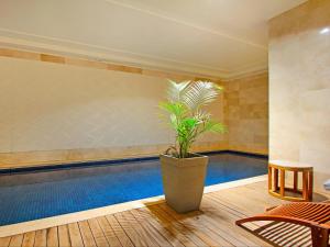 a swimming pool with a potted plant next to it at Taj 2 bed Suite - deluxe hotel suite with lounge & stunning Table Mtn views in Cape Town