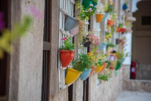 une rangée de plantes en pot sur le côté d'un bâtiment dans l'établissement Arabian Boutique Hotel, à Dubaï