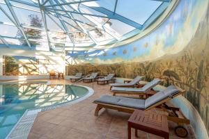 Bazén v ubytování Hotel International nebo v jeho okolí