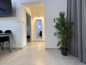 a living room with a piano and a potted plant at Royal Park - Paul's Place in Eilat