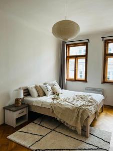 プラハにあるBig family apartmentのベッドルーム1室(大型ベッド1台付)