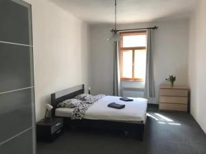 - une chambre avec un lit et une fenêtre dans l'établissement Big family apartment, à Prague
