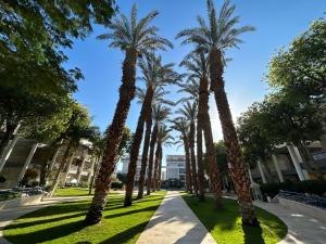 Une rangée de palmiers dans un parc dans l'établissement Royal Park - Paul's Place, à Eilat