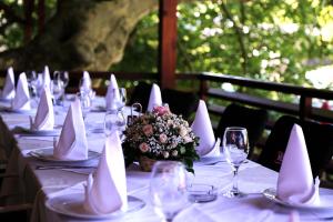 Restaurace v ubytování Hotel Vila Vrbas