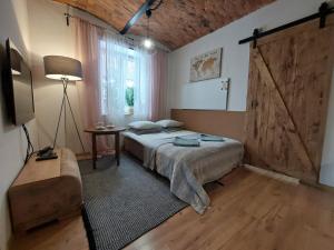 a bedroom with a bed and a sliding barn door at Apartamenty Nova na Krakowskiej No 4 in Bielsko-Biała