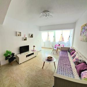 a living room with a couch and a tv at Apartment Svetlana in Alicante