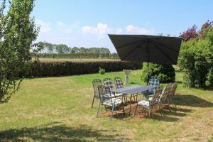 a table and chairs with an umbrella in a field at Ferienwohnung auf dem Alpaka-Hof in Rubkow