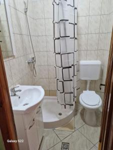 La salle de bains est pourvue d'un lavabo, de toilettes et d'une douche. dans l'établissement CASA BOTIMI, à Covasna