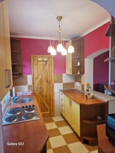 - une cuisine avec des murs roses et violets et une cuisinière dans l'établissement CASA BOTIMI, à Covasna