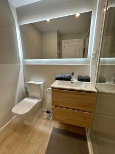 La salle de bains est pourvue de toilettes, d'un lavabo et d'un miroir. dans l'établissement Apartamentos Universidad, à Murcie