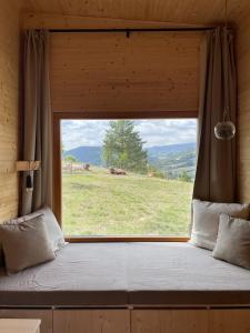 a window in a room with a bed with a view at kiva cabin in Horné Hámre