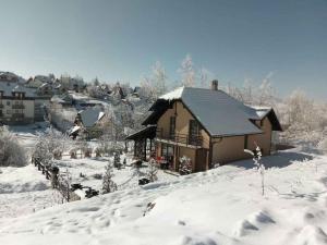 茲拉蒂博爾的住宿－Vikendica Životić，一座被雪覆盖的城镇房屋