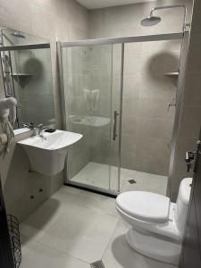 Koupelna v ubytování Crystal Wood Bakuriani Apartment 401 + 23 fotografií