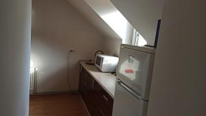 a small kitchen with a refrigerator and a microwave at Квартира Ворохта in Vorokhta