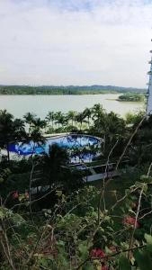 Peisaj natural din apropierea acestui apartament