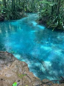 a stream in the jungle with blue water at Raja Ampat Sandy Guest House in Saonek