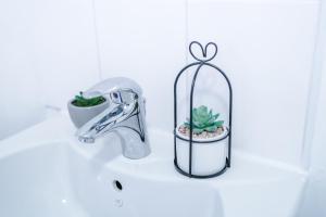 a bathroom sink with a plant in a glass container at The Consort Serviced Apartment Coventry in Coventry