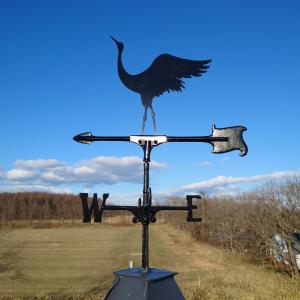 a bird standing on a weather vane at Tsukushi Village in Tsurui