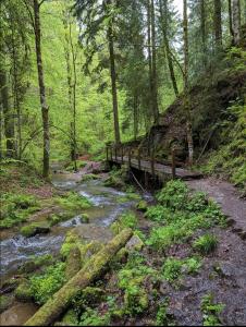 un pont en bois sur un ruisseau dans une forêt dans l'établissement Ferienwohnung Schwarzwaldglück, à Löffingen