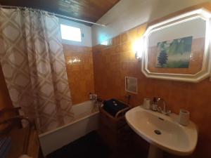 baño con lavabo y cortina de ducha en Studio sympa avec terrasse , maxi 4 pers.Briançon en Briançon