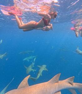 Hosté ubytování Raalhu Fonu Maldives