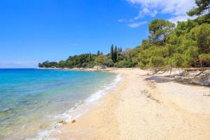 a beach with blue water and trees on it at Sunny & Cosy Studio wParking in Rovinj
