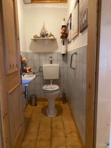 a small bathroom with a toilet and a sink at Haus Reichlas in Längenfeld