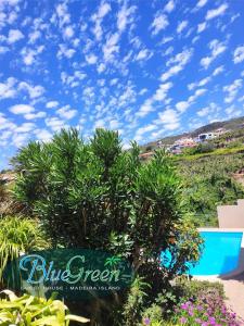 ein Schild für Blaugrün mit Bäumen und Blumen in der Unterkunft bluegreen in Arco da Calheta