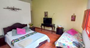 Villa Sonia Eco-Hostel في Gigante: غرفة نوم بسريرين ومخدات وردية وبيانو
