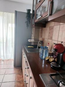 a kitchen with a sink and a counter top at Cozy apartment in the center of Bucharest in Bucharest
