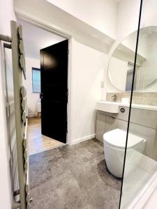 a bathroom with a toilet and a sink and a mirror at 2 bedroom 2 en-suite free parking super fast wi-fi blyth centre in Blythe