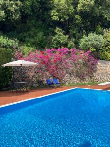 a swimming pool with chairs and an umbrella and pink flowers at Il Casalino in Maratea