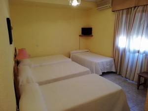 Habitación de hotel con 2 camas y TV en Hotel Restaurante Peñarroya, en Argamasilla de Alba