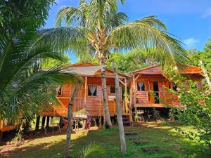 小玉米岛The Lighthouse Retreat, Little Corn island, Nicaragua的一座棕榈树的木屋